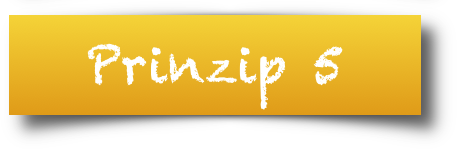 Symbol Prinzip 5 orange